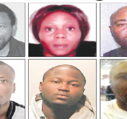 INTERPOL declares 14 Nigerians Wanted across the world