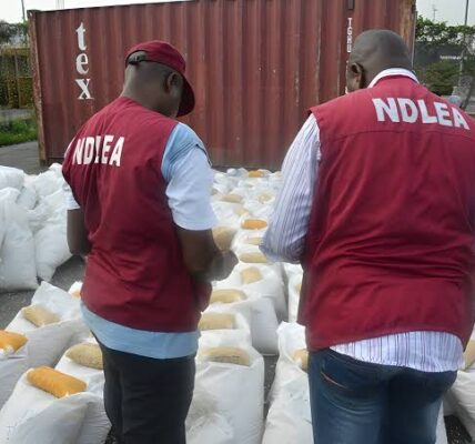 NDLEA Arrests Businessman Trying to Smuggle Cocaine