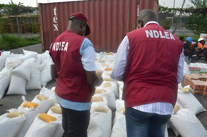 NDLEA Arrests Businessman Trying to Smuggle Cocaine