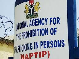 NAPTIP Arrests Suspect Of Organ Harvesting in Akwa Ibom State