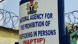 NAPTIP Raids Popular Abuja Hotel, Rescues Seven Iraq–Bound Girls