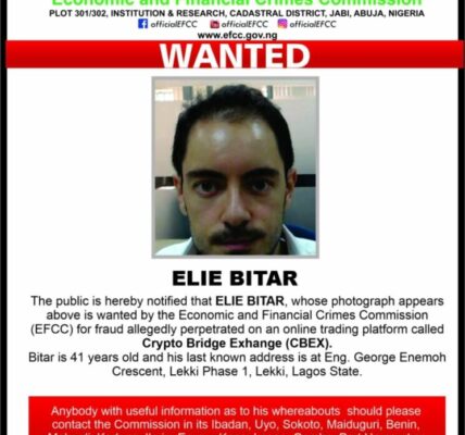 CBEX: EFCC Declares Foreigner Wanted