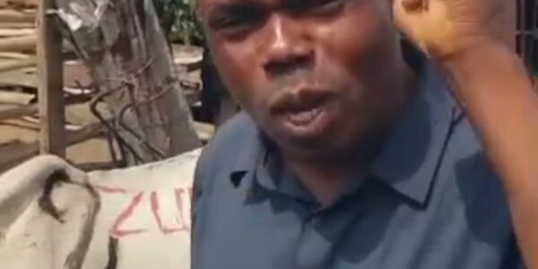 Zubitech Global Gifts Two Cows To Oldest Ebonyi Comedian