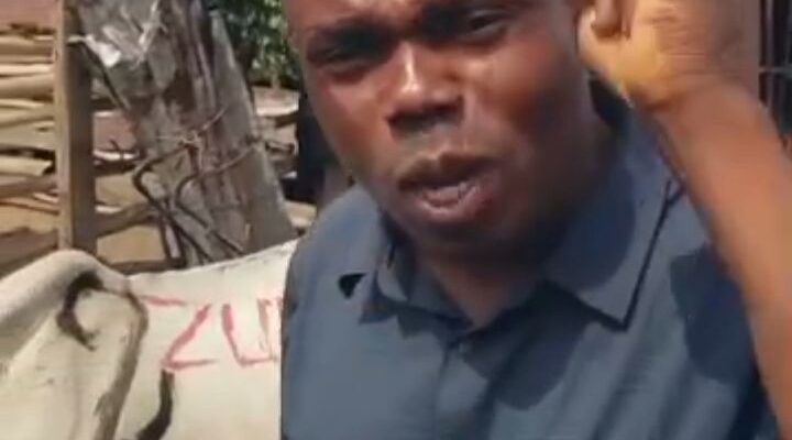 Zubitech Global Gifts Two Cows To Oldest Ebonyi Comedian