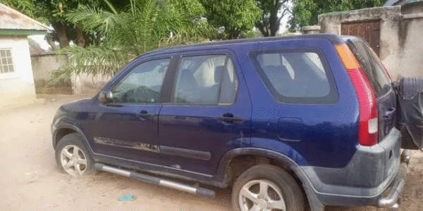 Five Children Found Dead In Abandoned Car