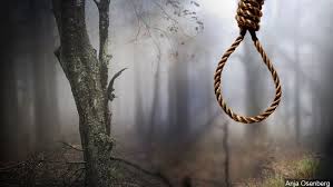 Pregnant Woman Discovered Hanging Dead From Cashew Tree